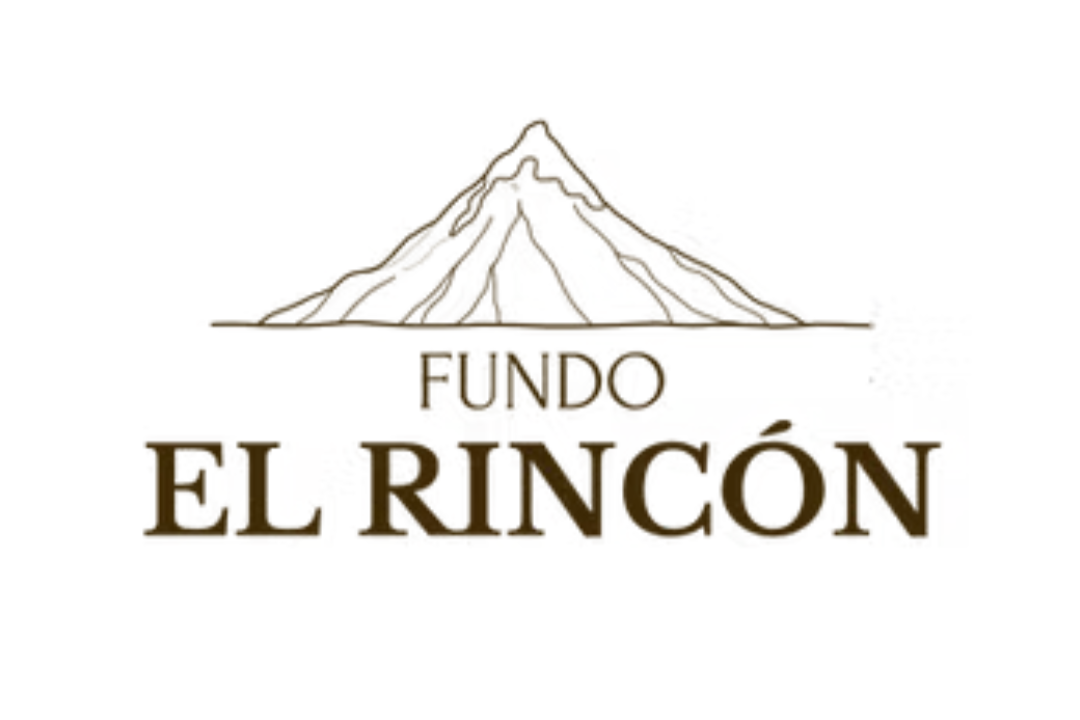 Logo Cliente 4